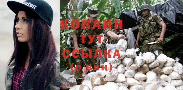 индика Богородицк