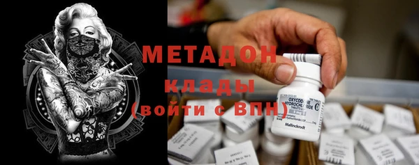 индика Богородицк