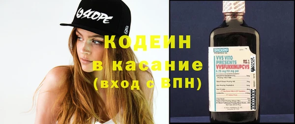 спиды Богданович
