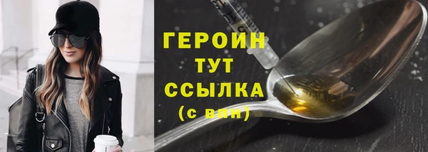 индика Богородицк