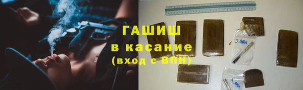 индика Богородицк