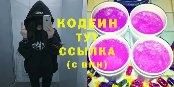 индика Богородицк