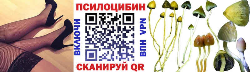 Галлюциногенные грибы Magic Shrooms  Новомосковск 